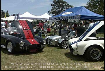Shelby_Cobras.JPG (35255 bytes)