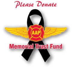 AAP Donate Tab